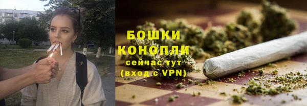 стафф Дмитров