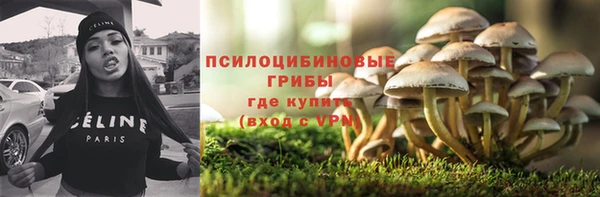 гидропоника Дмитровск