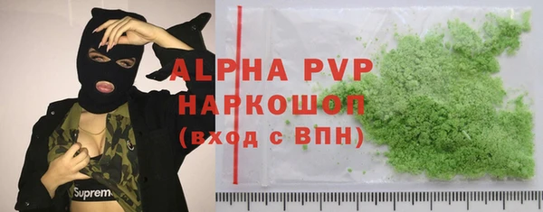 стафф Дмитров