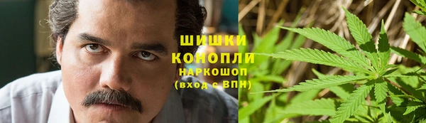 стафф Дмитров