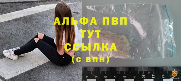 стафф Дмитров