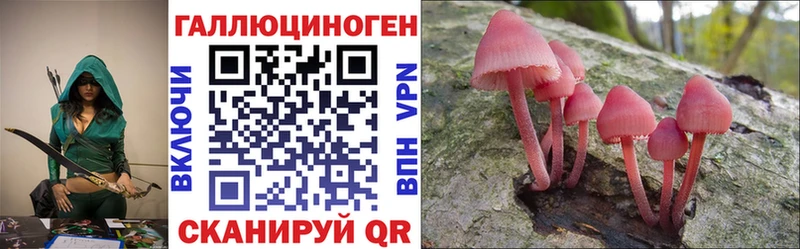 закладка  Мещовск  Галлюциногенные грибы прущие грибы 